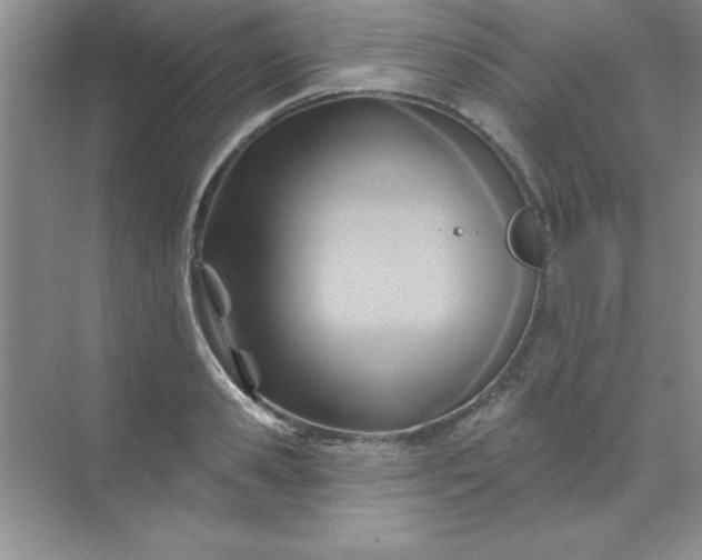 X0000071910941200607212039