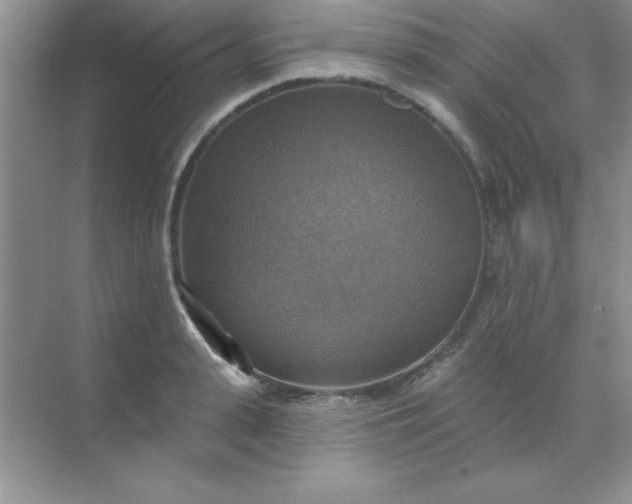 X0000071910943200607212039