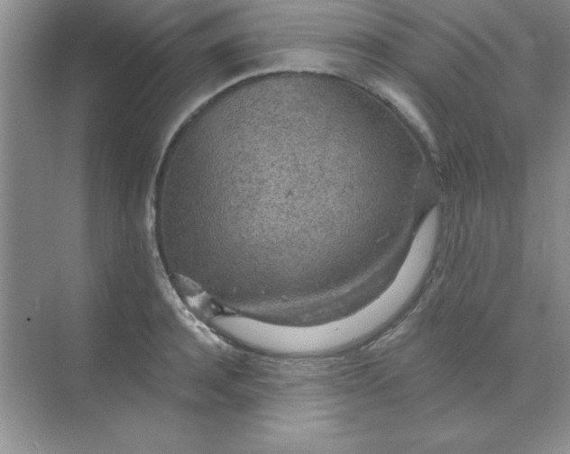 X0000071910944200607212039