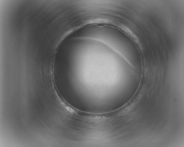 X0000071910945200607212039