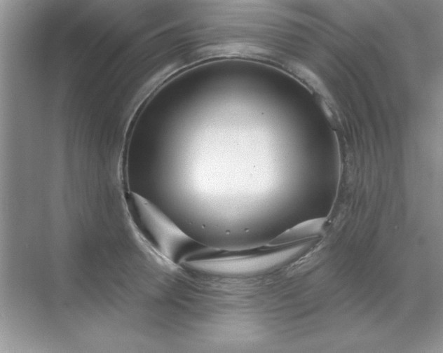 X0000071910946200607212039