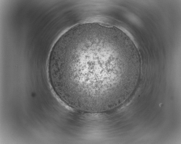 X0000071910949200607212039