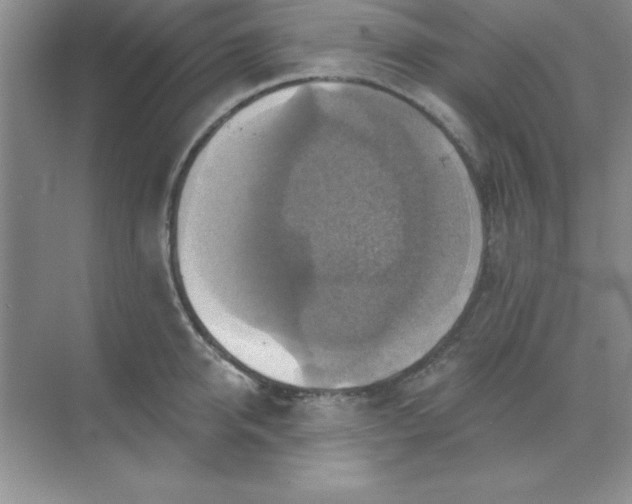 X0000071910950200607212039