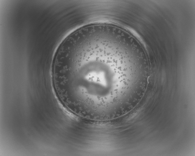 X0000071910951200607212039