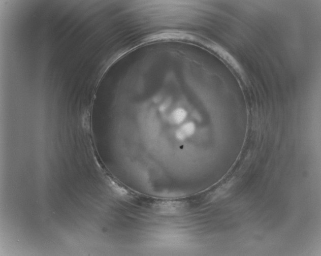 X0000071910953200607212039