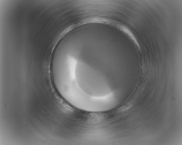 X0000071910954200607212039