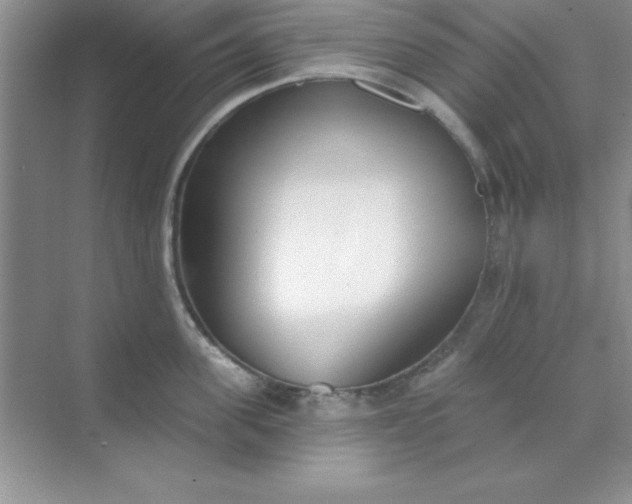 X0000071910955200607212039