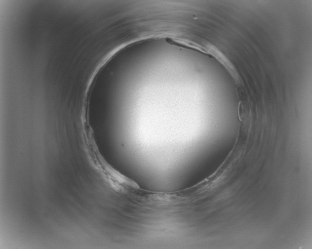 X0000071910956200607212039