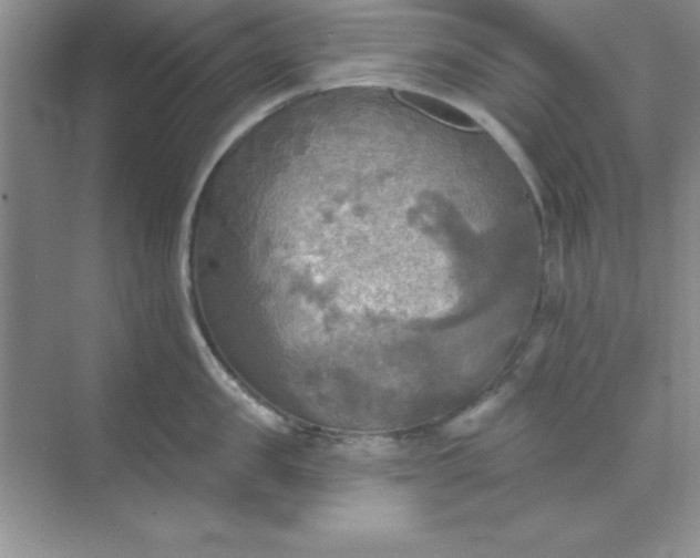 X0000071910957200607212039