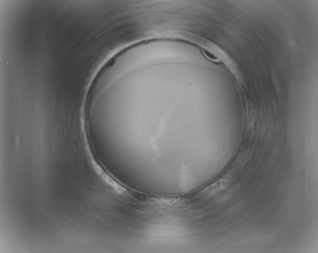 X0000071910958200607212039