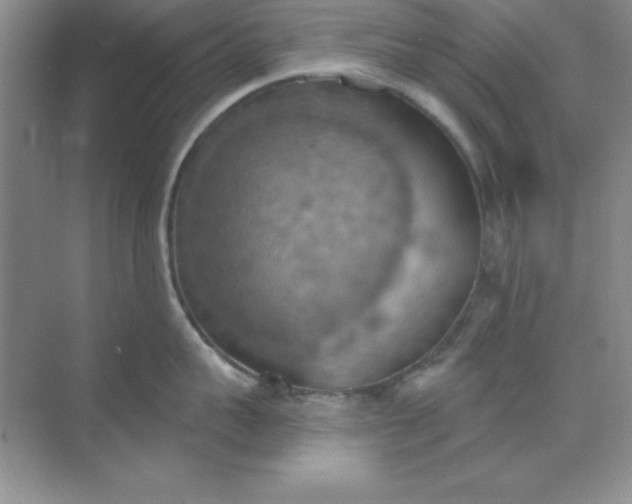 X0000071910959200607212039