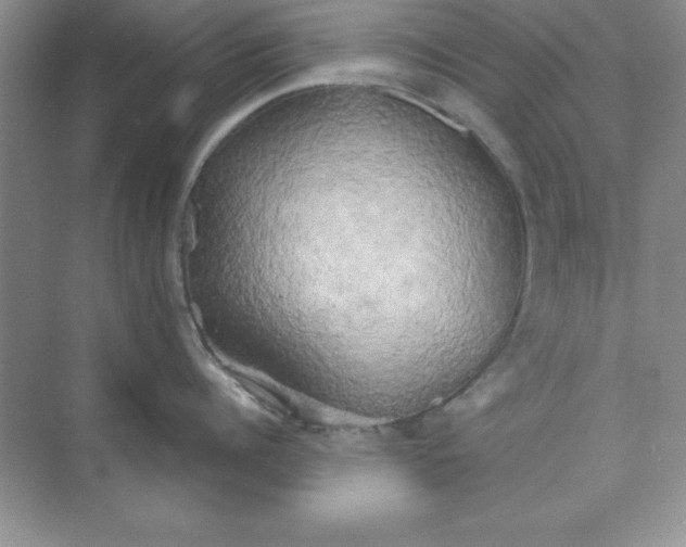 X0000071910960200607212039