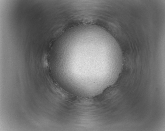 X0000071910962200607212038