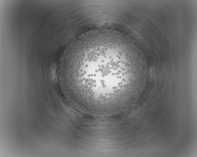 X0000071910963200607212038