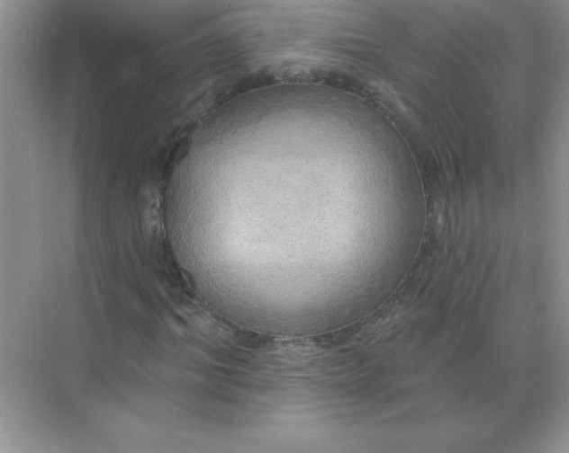 X0000071910964200607212038