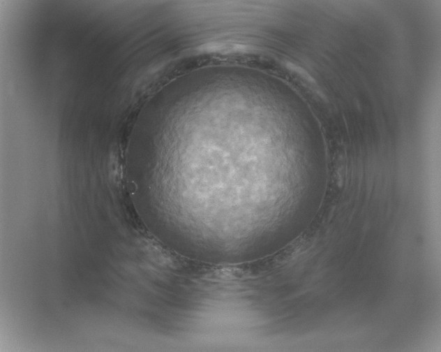 X0000071910966200607212038