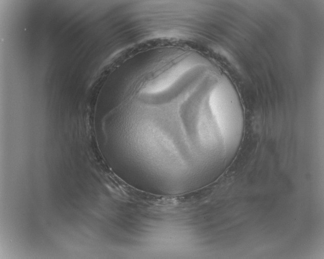 X0000071910968200607212038