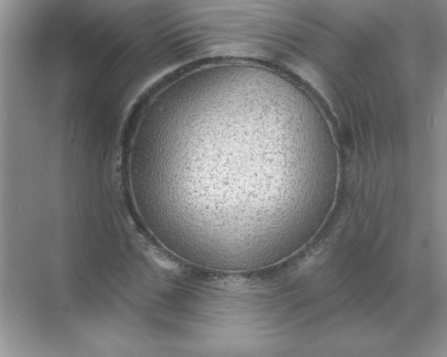 X0000071910971200607212038