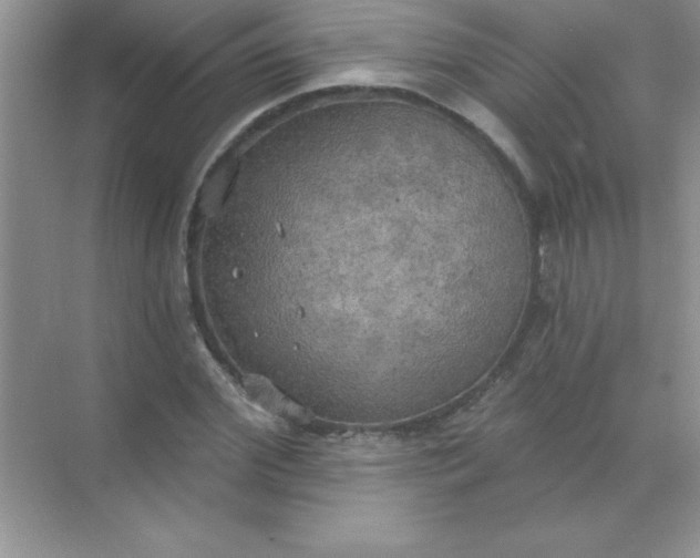 X0000071910972200607212038