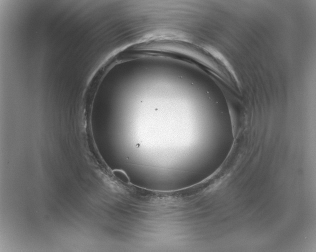 X0000071910973200607212038