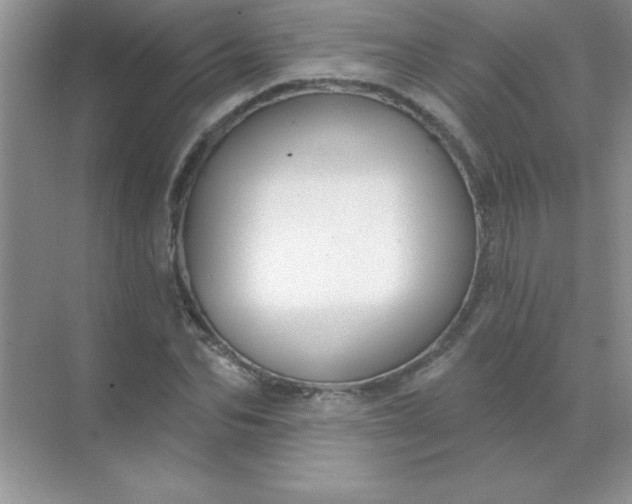 X0000071910974200607212038