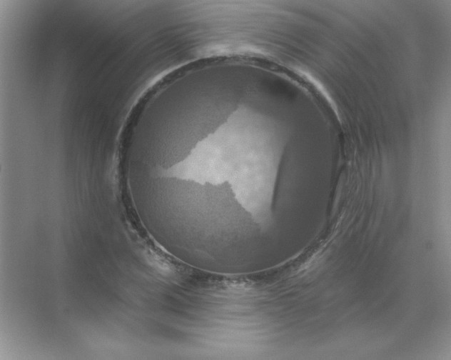 X0000071910975200607212038