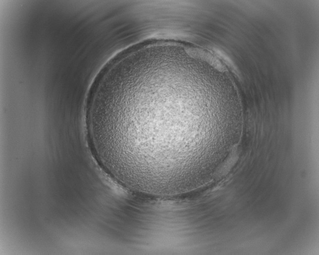 X0000071910976200607212038