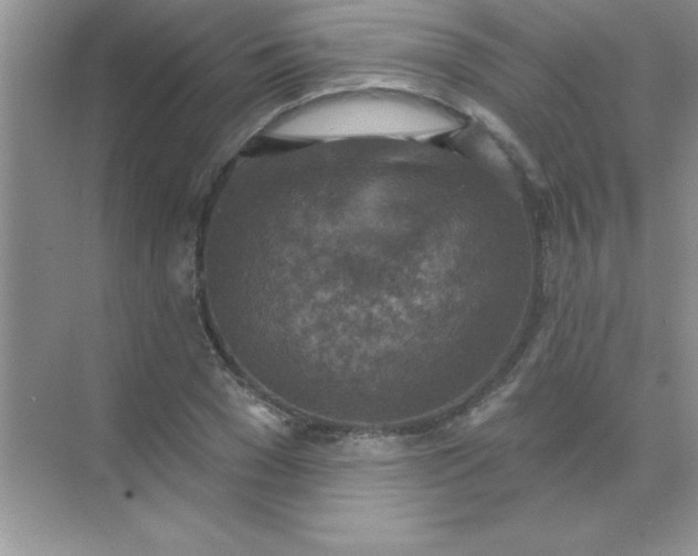 X0000071910977200607212038