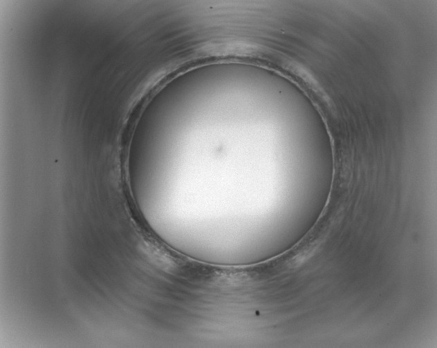 X0000071910978200607212038