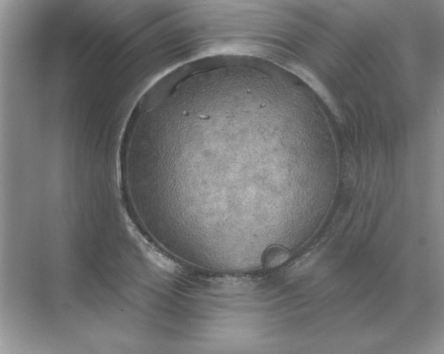 X0000071910980200607212038