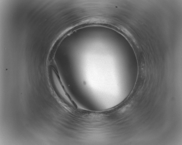 X0000071910981200607212038