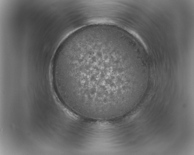 X0000071910983200607212038