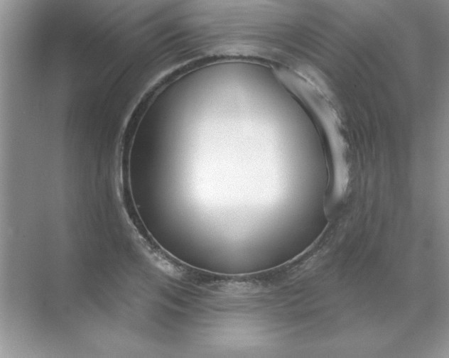 X0000071910984200607212038