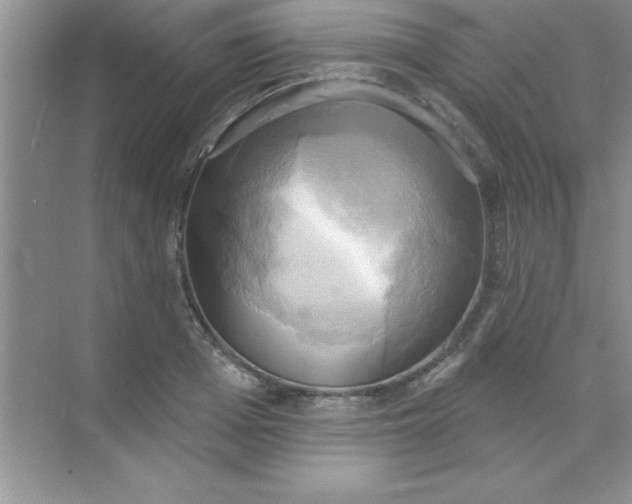 X0000071910985200607212038