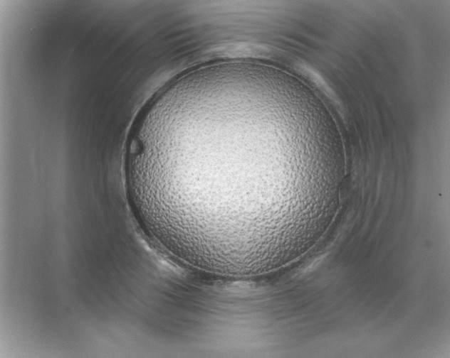 X0000071910986200607212038