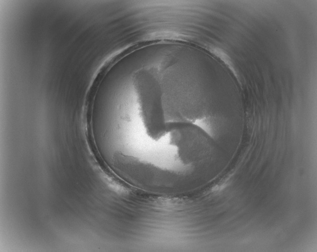 X0000071910987200607212038