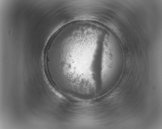 X0000071910990200607212038