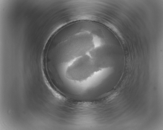 X0000071910991200607212038