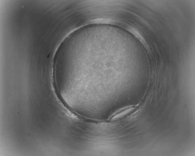 X0000071910992200607212038