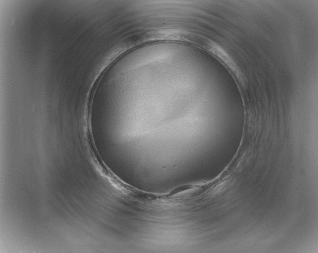 X0000071910994200607212038