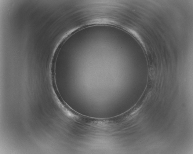 X0000071910995200607212037