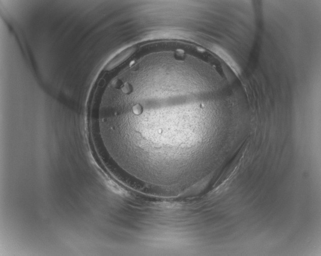 X0000071910996200607212037