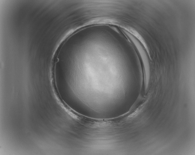 X0000071910997200607212037