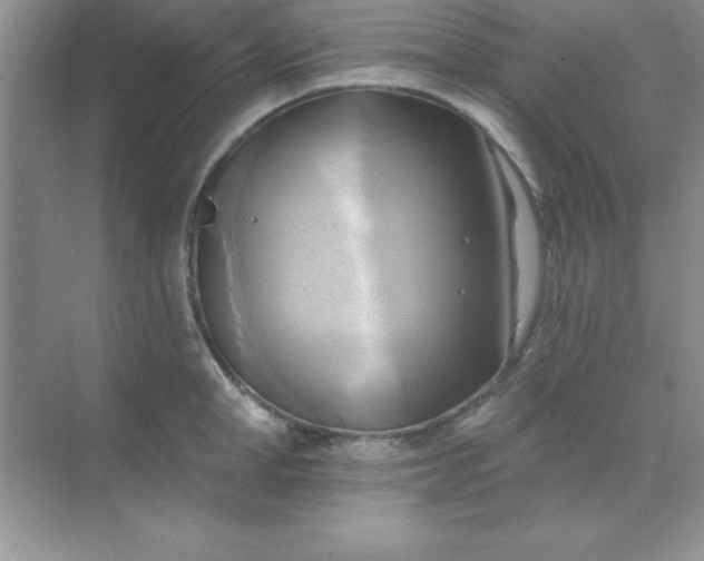 X0000071910998200607212037