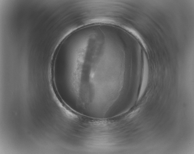 X0000071910999200607212037