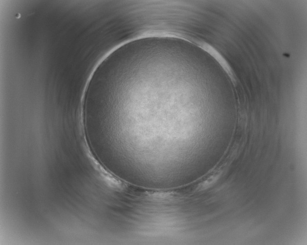 X0000071911004200607212037