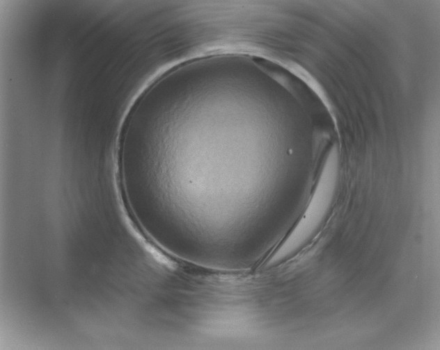 X0000071911005200607212037