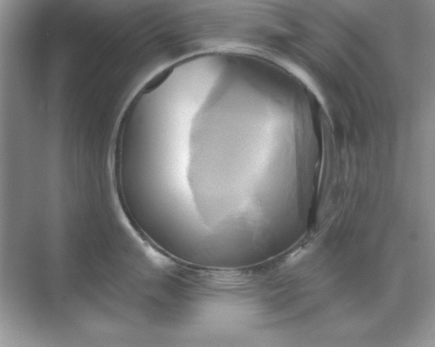 X0000071911007200607212037