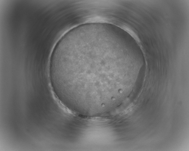 X0000071911008200607212037