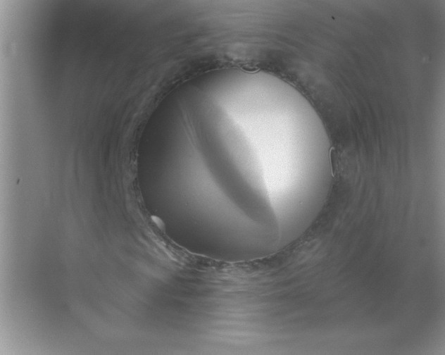 X0000071911009200607212036